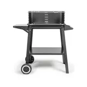 Barbecue Portable Livoo Stainless steel