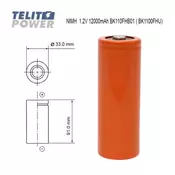 Panasonic NiMH F 1.2V 12000mAh BK110FHB01 ( 2436 )