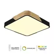 Plafonska lampa F2812-30C BK+WD