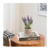 Eglo 428031 - Veštacka biljka u saksiji CHITOSE 22x8 cm lavanda