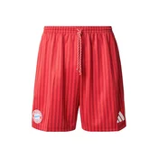 ADIDAS PERFORMANCE Športne hlače Stadium rdeča / bordo