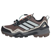 ADIDAS TERREX Nizki čevelj Skychaser čokolada/greige/svetlo siva/črna