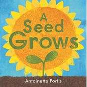 A seed grows