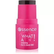 essence WHAT A TINT! večnamensko ličilo za ustnice in lica odtenek 10 Raspberry Vibes 5 g