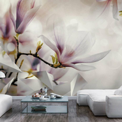 Foto tapeta - Subtle Magnolias - First Variant 300x210