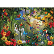EuroGraphics Puzzle Tropski raj ptic XL 500 kosov