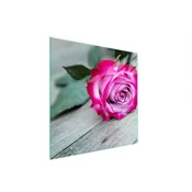 shumee STEKLENA ZAŠČITNA PLOŠČA ZA ŠTEDILNIK 50x52 ROSE
