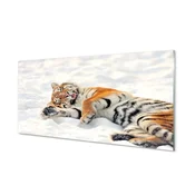 tulup.si Stenska plošča za kuhinjo Tiger zima 100x50 cm