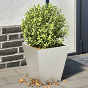 Vrtna sadilice 2 kom antracit 30x30x30 cm od nehrdajuceg celika
