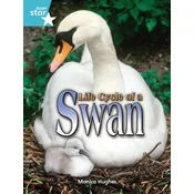 Rigby Star Independent Year 2 Turquoise Non Fiction Life Cycle of a Swan Single