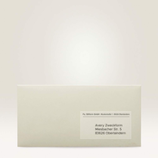 Avery Zweckform transparentne mat etikete L7551-25, A4, prozorne