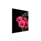 shumee STEKLENA DESKA ZA REZANJE 45x52 GERBERA