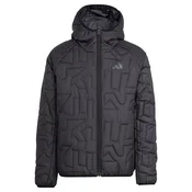 ADIDAS TERREX Zunanja jakna Xperior siva/črna