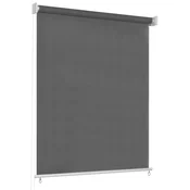 Vanjska roleta za zamracivanje 60 x 230 cm antracit