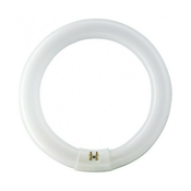 TL-E PHILIPS Kružna fluorescentna cijev 40W (3000K) 8711500284761