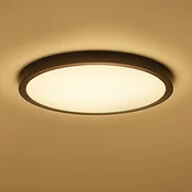 Calex Smart LED stropna svetilka HALO O 40 cm črna IP54 RGB CCT - Dnevna soba/jedilnica - Sodobni - Plastika