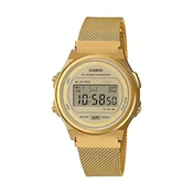 Casio ty340660 Pozlačena