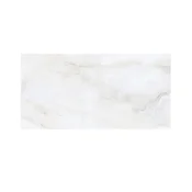 Plocica Majestic Onyx Glossy 60×120