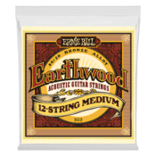 Ernie Ball 2012 Earthwood 12 string Medium