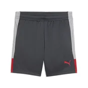 PUMA IndividualLIGA Football Training Shorts Youth, Sports, Gray Echo/Dusky Gray/Red, 7-8Y