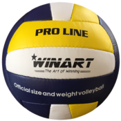 Odbojka WINART PRO LINE št. 5