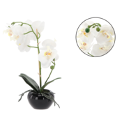 CHOMIK UMETNO CVETJE - BELO ORHIDEJO 30 CM