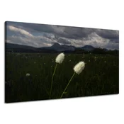 shumee Platno Narava Divje rože 120x70 cm