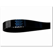 DAYCO DY 94950 ZOBATI JERMEN