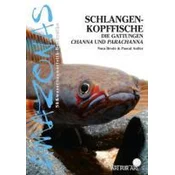 Art für Art: Schlangenkopffische