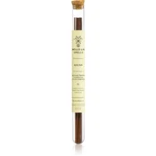 Smells Like Spells Norse Magic Idunn dišeče palčke (beauty/sexuality) 50 g