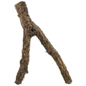 Dekoracija Repti Planet Korkova veja M 30-60 cm