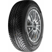 Cooper Discoverer Winter ( 225/55 R17 101V XL )
