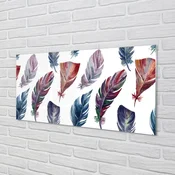 tulup.si Slika na akrilnem steklu Pisane perje 125x50 cm 4 obešalnika