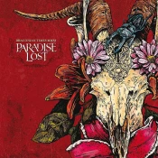 Paradise Lost - Draconian Times (Limited Edition) (Silver Coloured) (2 LP)