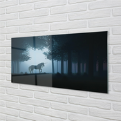 tulup.si Stenska plošča za kuhinjo Las noč samorog 140x70 cm