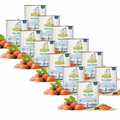 ISEGRIM Adult River: losos s prosom in borovnicami 12x800 g