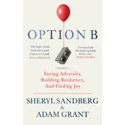 Option B