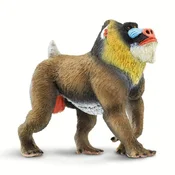 Safari Mandril