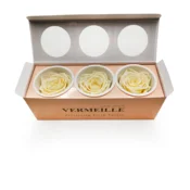 shumee Stabilizirana vrtnica - pastelno rumena - XL - 3 kosi