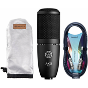 AKG P120+ Recording Microphone SET