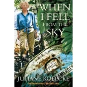 When I Fell From The Sky