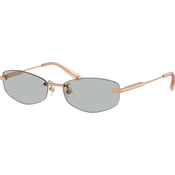 Jimmy Choo Naocare za sunce JC 4013D 300887
