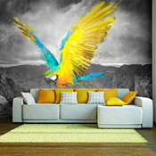 Foto tapeta - Exotic parrot 200x154