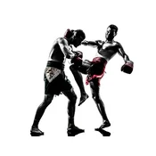 SET v AKCIJI za Muay Thai in Kickboxing