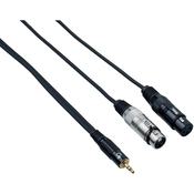Bespeco EAYMS2FX500