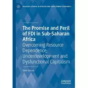 The Promise and Peril of FDI in Sub-Saharan Africa