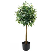 Lilium dekorativno stablo lagurus/šeflera 90cm 567285