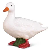 COLLECTA raca