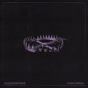 Bleachdrinker - Love Songs (LP)