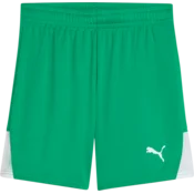 Puma Kratke hlače teamLIGA26 Kids